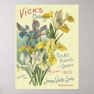 Vintage 1901 Vick's Samen- und Pflanzenkatalog Poster