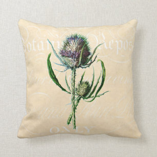 Vintage 1902 Scottish-Distel-Antiken-Wildblume Kissen