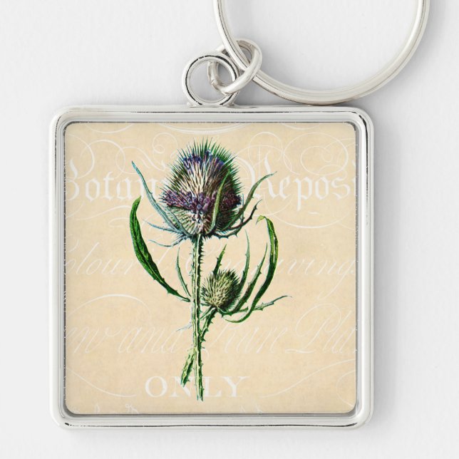 Vintage 1902 Scottish-Distel-Antiken-Wildblume Schlüsselanhänger (Vorne)