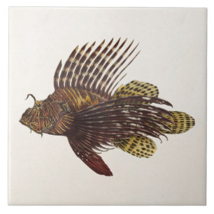 Vintage 1905 Löwenfisch Skorpionfisch Retro Löwen Fliese