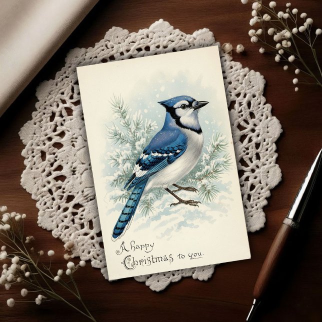 Vintage 1908 Blue Jay Christmas  Postkarte (Von Creator hochgeladen)