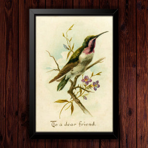 Vintage 1908 Mexicanischer Stern Kolibri Freundsch Poster