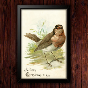 Vintage 1908 Robin-Vogel-Weihnachtsgrußposter Poster