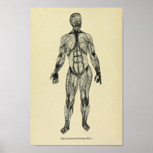 Vintage 1920 Anatomie-Kunstdruckkunst Poster
