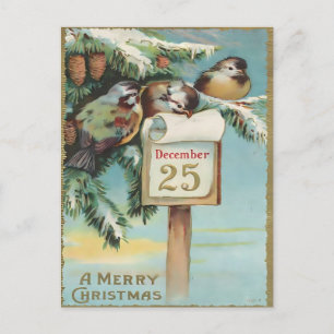 Vintage 25. Dezember Vögel & Kiefer Weihnachten Postkarte