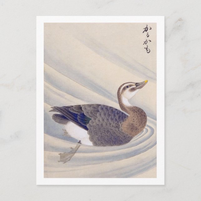 Vintage Abbildung: Ente mit Spot-Kakteen Postkarte (Vorderseite)