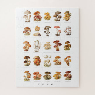 Vintage Abbildung essbare nicht essbare Pilze Puzzle