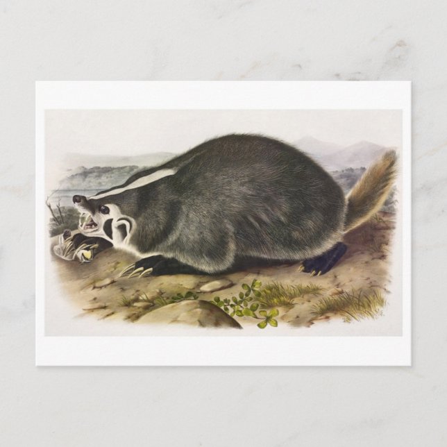 Vintage Abbildung Postcard Postkarte (Vorderseite)