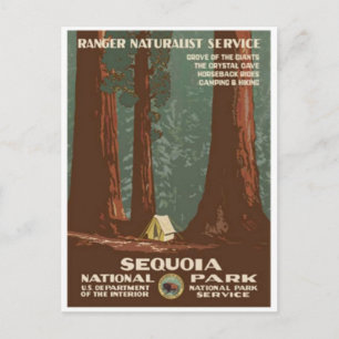 Vintage Ad Poster Postkarte