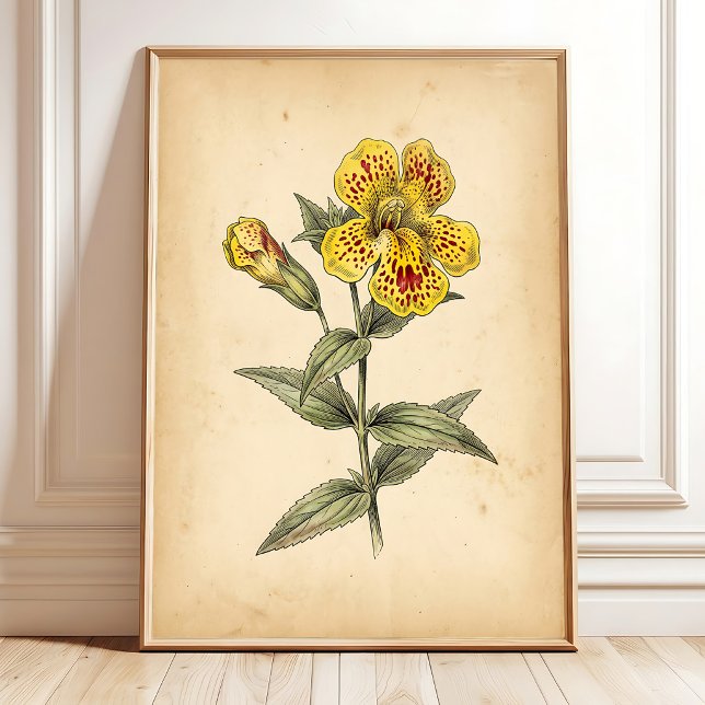 Vintage-Affenblumen-Wandkunst, Leinwand Poster (Von Creator hochgeladen)