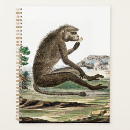 Vintage Affendarstellung | Zoo Animal Ape Jigsa Planer