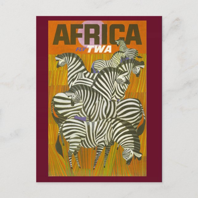Vintage Afrikanische Zebra Travel Postcard Postkarte (Vorderseite)