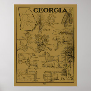 Vintage Agricultural Map of Georgia (1915) - Tan Poster
