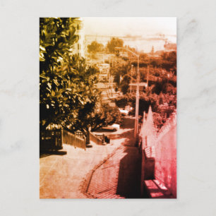 Vintage Algerien Überblick über den Bezirk Algier Postkarte