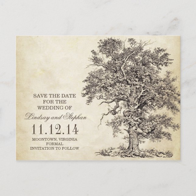 Vintage alte Eiche Save the Date Postkarten (Vorderseite)