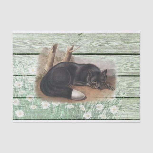 Vintage, alte, grüne Holzstruktur American Fox Seidenpapier (Vorderseite)