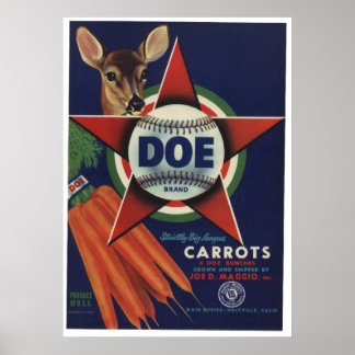 Vintage alte Karotten Gemüse Kratzeretiketten Poster