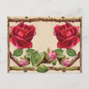 Vintage alte Rose rustikal Viktorianisch Antique Postkarte