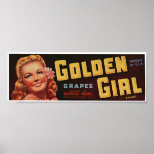 Vintage alte Trauben-Frucht-Kisten-Aufkleber Poster