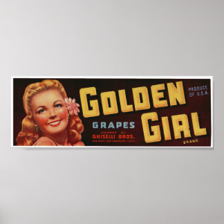 Vintage alte Trauben Fruchtkäfige Etiketten Poster
