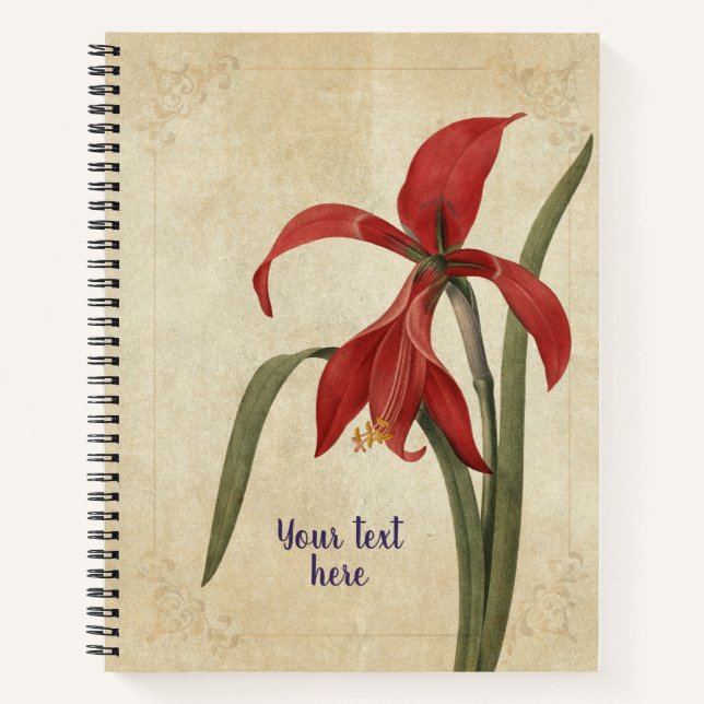 Vintage-Amaryllis-Notizbuch Notizbuch (Vorderseite)