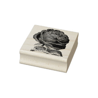 Vintage American Beauty Rose Stempel