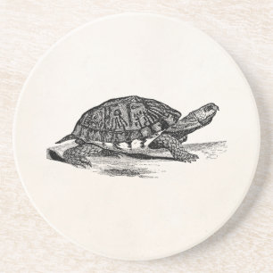 Vintage Amerikanische Boxschildkröte - Schildkröte Sandstein Untersetzer