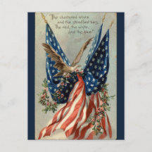 Vintage amerikanische Flagge Adler und Blumen Patr