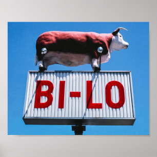 Vintage amerikanische Landschaft Poster