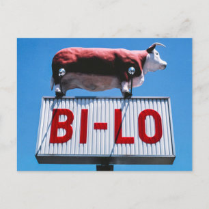 Vintage amerikanische Landschaft Postkarte