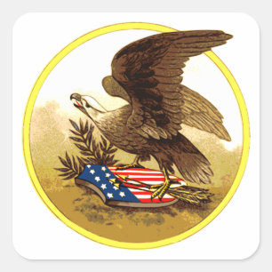 Vintage Amerikanischer Weißkopfseeadler Quadratischer Aufkleber