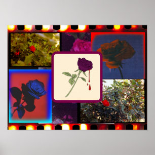 Vintage Analog Film Rose Collage Poster