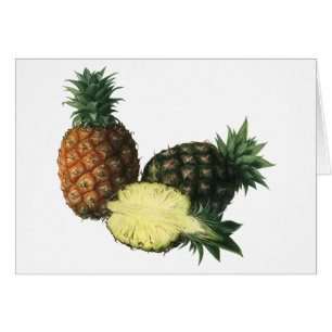 Vintage Ananas, Bio Obst