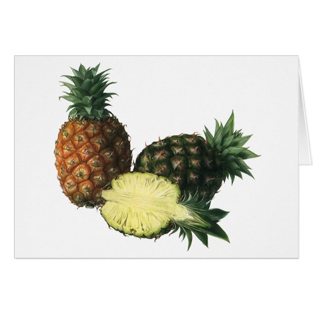 Vintage Ananas, Bio Obst (Vorderseite (Horizontal))