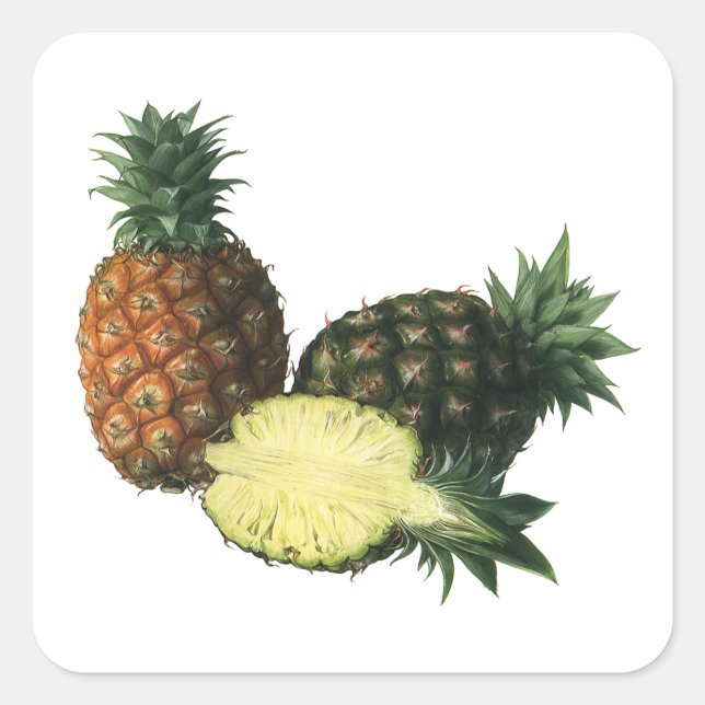 Vintage Ananas, Bio Obst Quadratischer Aufkleber (Vorderseite)