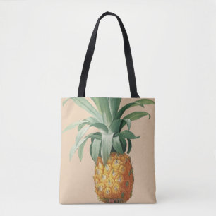 Vintage-Ananas-Botanikdruck