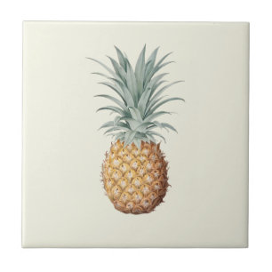 Vintage Ananas-Creme Fliese