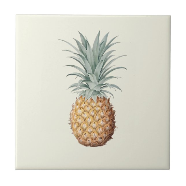 Vintage Ananas-Creme Fliese (Vorderseite)