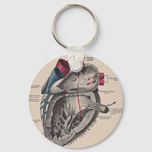 Vintage Anatomical Heart Schlüsselanhänger