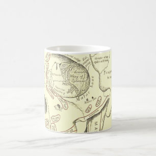 Vintage Anatomie Anterolateral Region des Schädels Tasse