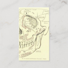Vintage Anatomie Anterolateral Region des Schädels Visitenkarte