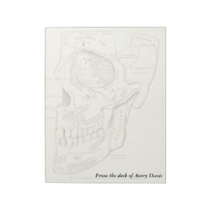 Vintage Anatomie Anterolaterale Region des Schädel Notizblock