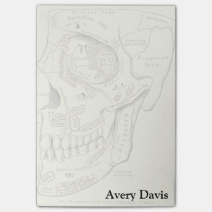 Vintage Anatomie Anterolaterale Schädelregion Post-it Klebezettel