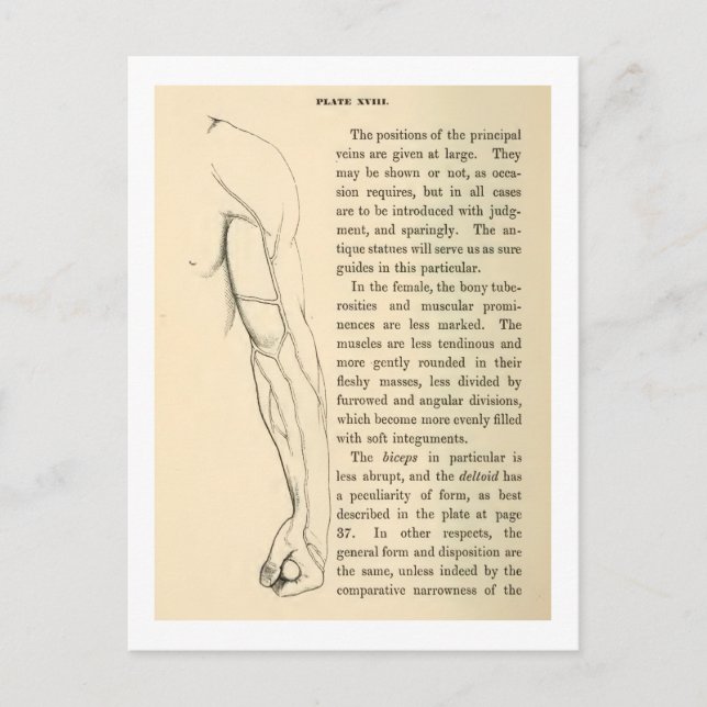 Vintage Anatomie | Armvenen (ca. 1852) Postkarte (Vorderseite)