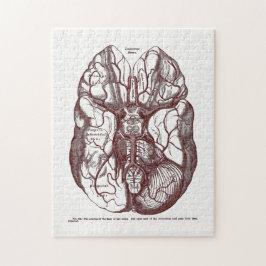 Vintage Anatomie Arterien des menschlichen Gehirns Puzzle