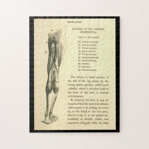 Vintage Anatomie Beinmuskeln Puzzle