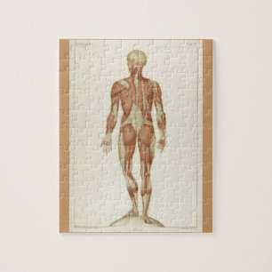 Vintage Anatomie-Buchseiten Puzzle