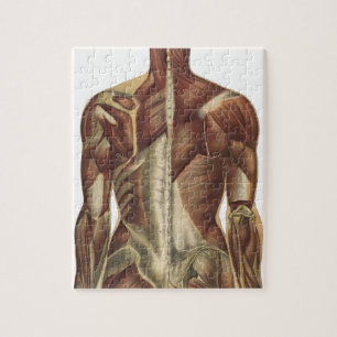 Vintage Anatomie-Buchseiten Puzzle