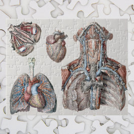 Vintage Anatomie der Brust, Organe, Augen Puzzle