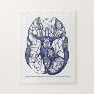 Vintage Anatomie der menschlichen Brain Navy Puzzle
